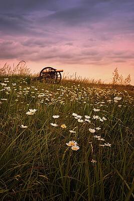 Sunset Photograph - Illuminated Defense by American Landscapes
