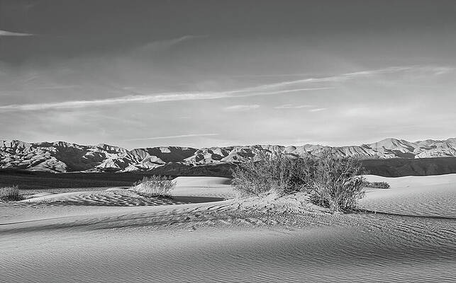 Wall Art featuring the photograph Illuminating The Grapevine Range by Joe Schofield