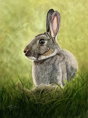 Wall Art featuring the pastel I'm All Ears by Marlene Little