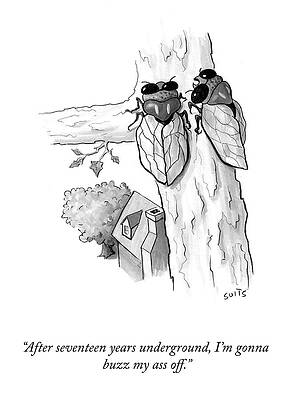 Celebration Drawing - I'm Gonna Buzz My Ass Off by Julia Suits