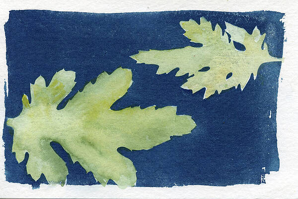 Photograph - Impressions Of Oak Leaves by Elizabeth Reich