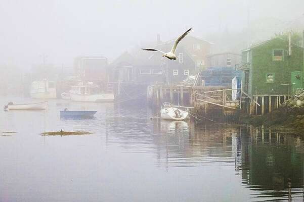 Transportation Wall Art featuring the photograph In The Fog by Tatiana Travelways