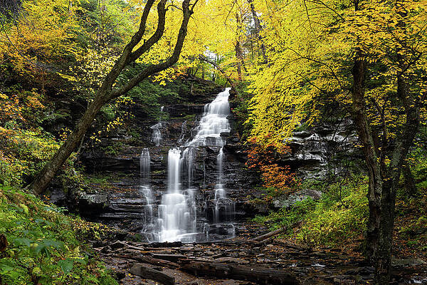 Pennsylvania Wall Art featuring the photograph In The Glen Again by Todd Wilkinson
