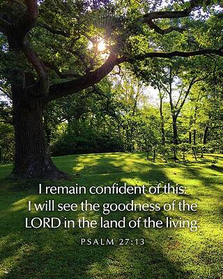 Morning Wall Art featuring the photograph In The Land Of The Living by Greg Lane