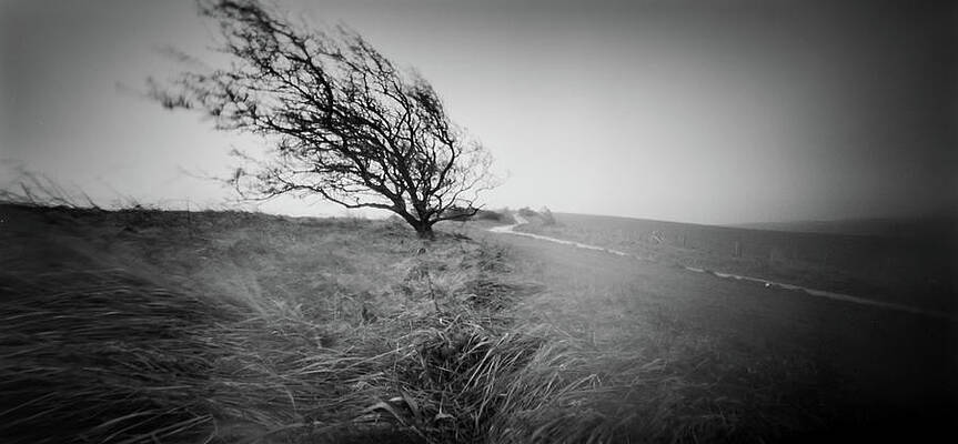 Photograph - In The Middle Of A Storm by Will Gudgeon