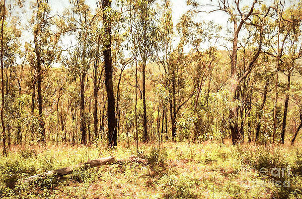 Country Painting - In The Uplands by Jorgo Photography