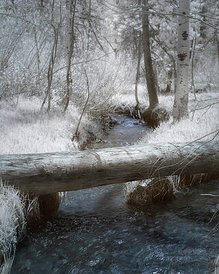 California Wall Art featuring the photograph Independence Creek In Invisible Light - Sierra County California by Mike Lee