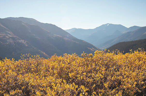 Wall Art featuring the photograph Independence Pass Peak In Autumn by Dan Sproul