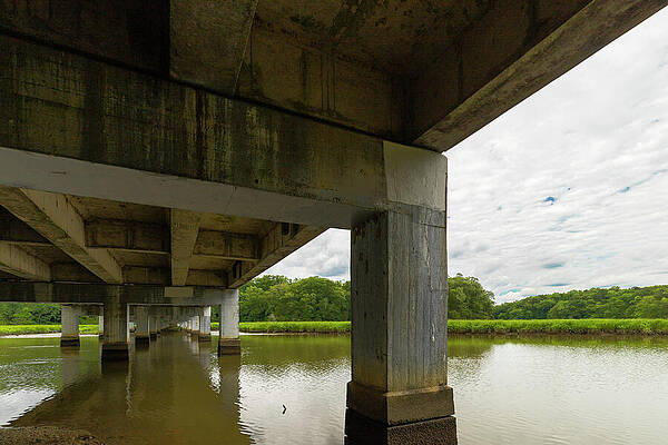 Water Photograph - Indifference by David Fountain