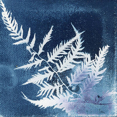 Photograph - Indigo Fern Foliage by Elizabeth Reich