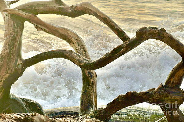 Waves Crashing Through Driftwood Wall Art