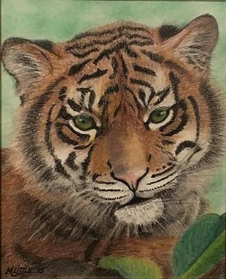 Cat Wall Art featuring the drawing Innocence by Marlene Little