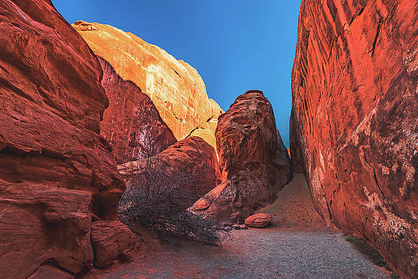 Unique Photograph - Inside Devils Garden, Utah by Abbie Warnock