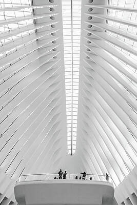 Architecture Wall Art featuring the photograph Skylight Of Oculus by Elvira Peretsman