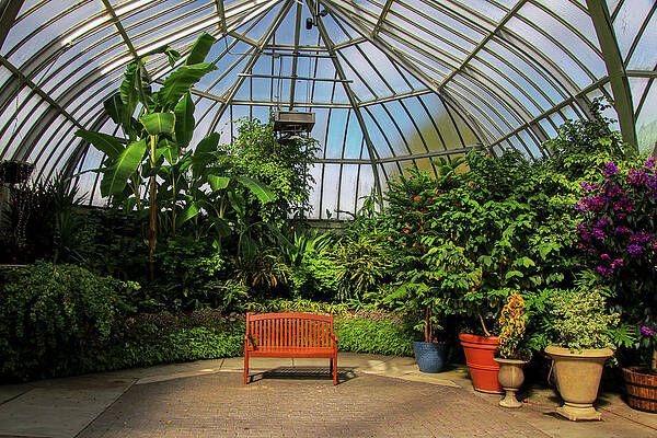 Flower Photograph - Inside The Anna Scripps Whitcomb Conservatory by Deb Beausoleil