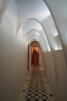 White Photograph - Inside The Dragon Ribcage by Richard Reeve