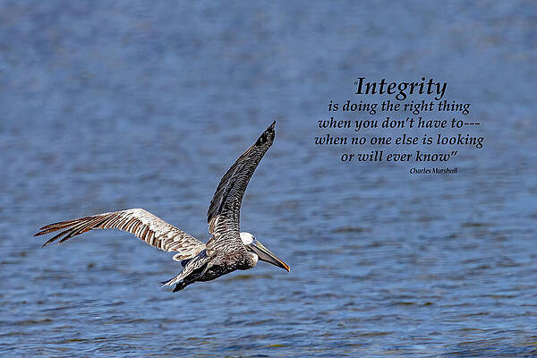 Integrity by Gina Fitzhugh