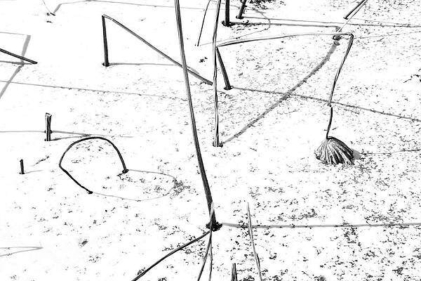 Wall Art featuring the photograph Intermission by Mia Badenhorst