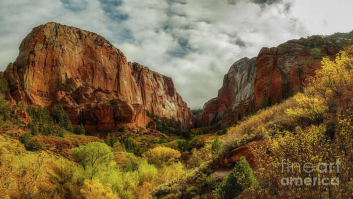 Majestic Red Rock Canyon Wall Art