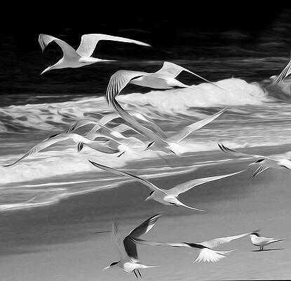 Wall Art featuring the photograph Into The Dream We Begin Again by Joe Schofield