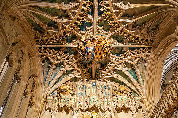 Intricate Gothic Ceiling Architecture Wall Art