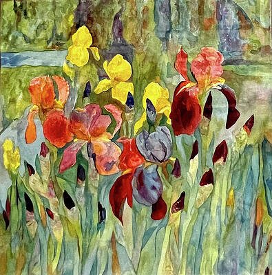 Watercolour Wall Art featuring the painting Irises by Grant Nixon