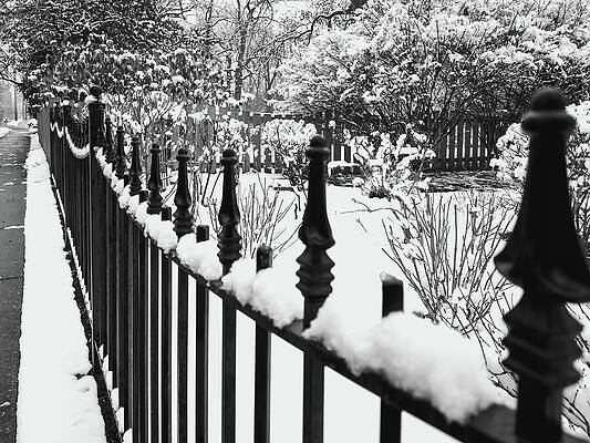 Vintage Photograph - Iron Fence Webster Groves Snowy Scene by Robert Niemeier