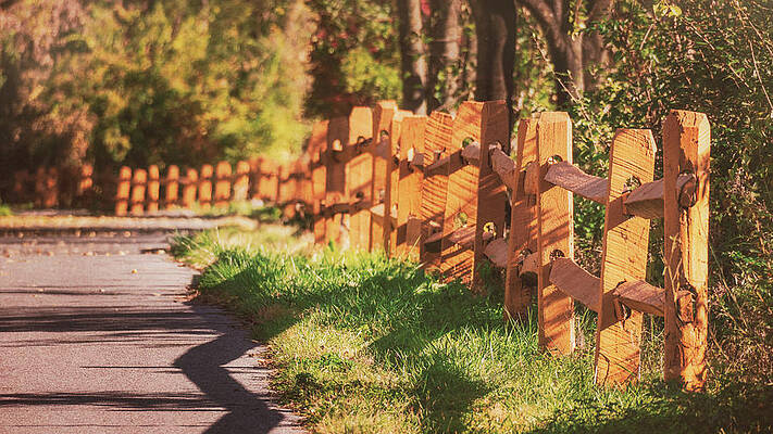 Nature Wall Art featuring the photograph Ironton Rail Trail Wooden Fence by Jason Fink