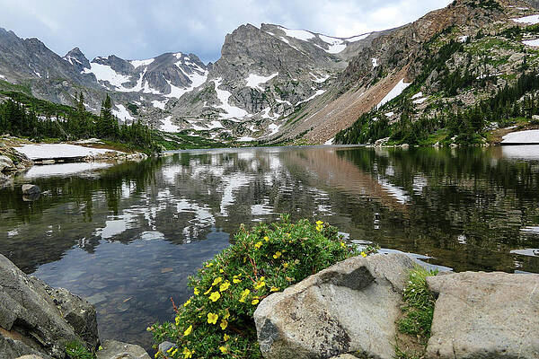 Wall Art featuring the photograph Isabelle Brilliance by Sunniye Buesing
