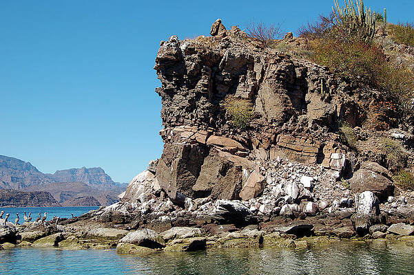 Mexico Photograph - Isla Coronado Cliffs by William Scott Koenig