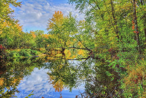 Reflection Photograph - Isle Of Ferns Park Fall Reflection by Dale Kauzlaric