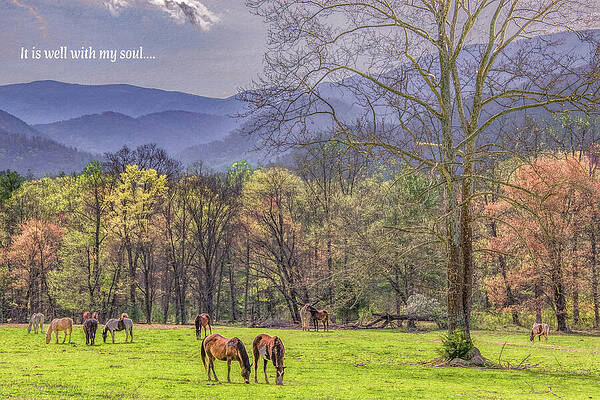 Wall Art featuring the photograph It Is Well With My Soul by Marcy Wielfaert