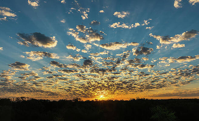 Texas Wall Art featuring the photograph It Will Be A Great Day by Ron Long Ltd Photography