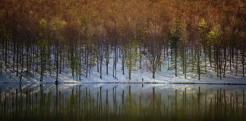 Photograph - Where Seasons Meet by Charnwood Photography Fine Art