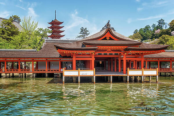 Serene Photograph - Itsukushima Shrine by Steven Dos Remedios