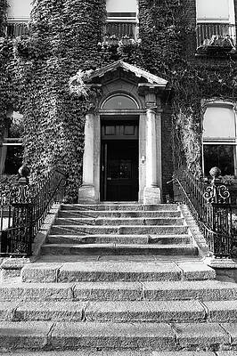 Wall Art featuring the photograph Ivy Entry by Steven Nelson