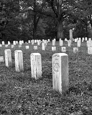 Confederate Wall Art featuring the photograph J McBride And Brother's In Arms by American Landscapes