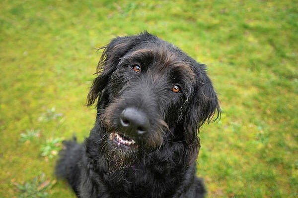 Oregon Photograph - Jackson by Diane Moller