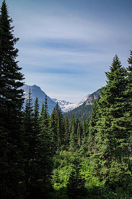 Majestic Mountain View Wall Art