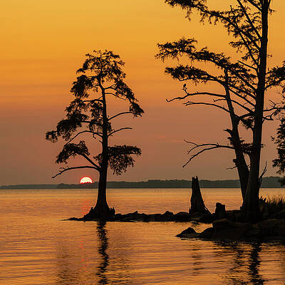 Moody Photograph - Jamestown Gold by David Fountain