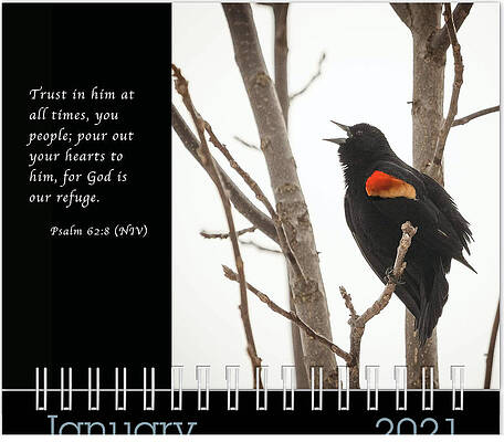 Inspirational Photograph - January 2021 Inspirational Calendar Preview by Joni Eskridge