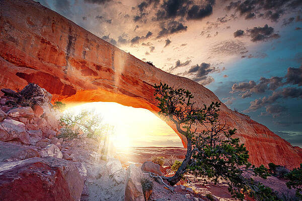 Wall Art featuring the photograph January 2023 Wilson Arch by Alain Zarinelli