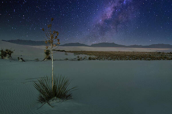Serene Photograph - January 2025 Yucca And Galactic Center by Alain Zarinelli
