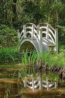 Reflection Photograph - Japanese Garden Bridge by Cindy Robinson