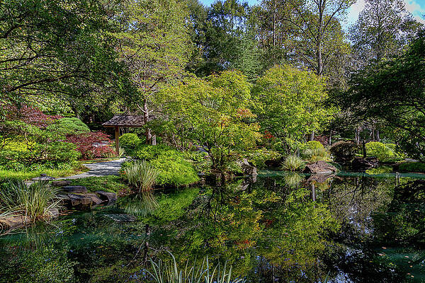 Reflection Photograph - Japanese Garden Reflection 2 by Cindy Robinson