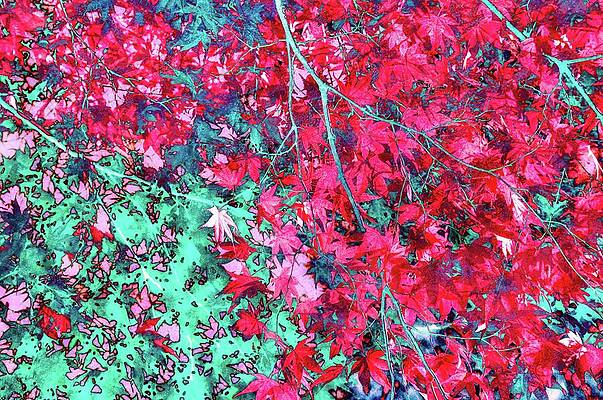 Wall Art featuring the digital art Japanese Maple With Lichen Texture by Bruce Block