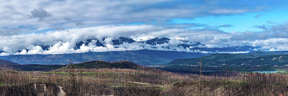 Canada Wall Art featuring the photograph Jasper Alberta Canada One Year After Fires by Tommy Farnsworth
