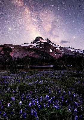 Milky Way Wall Art featuring the photograph Jefferson Park Magic by Russell Wells