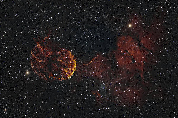 Nebula Photograph - Jellyfish Nebula by Brian Weber