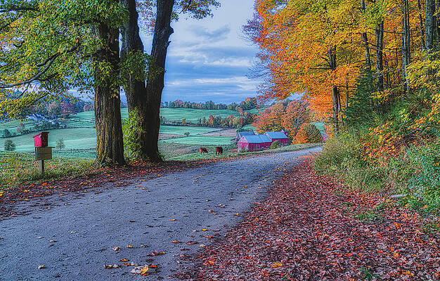 Wall Art featuring the photograph Jenne Farm by Penny Polakoff